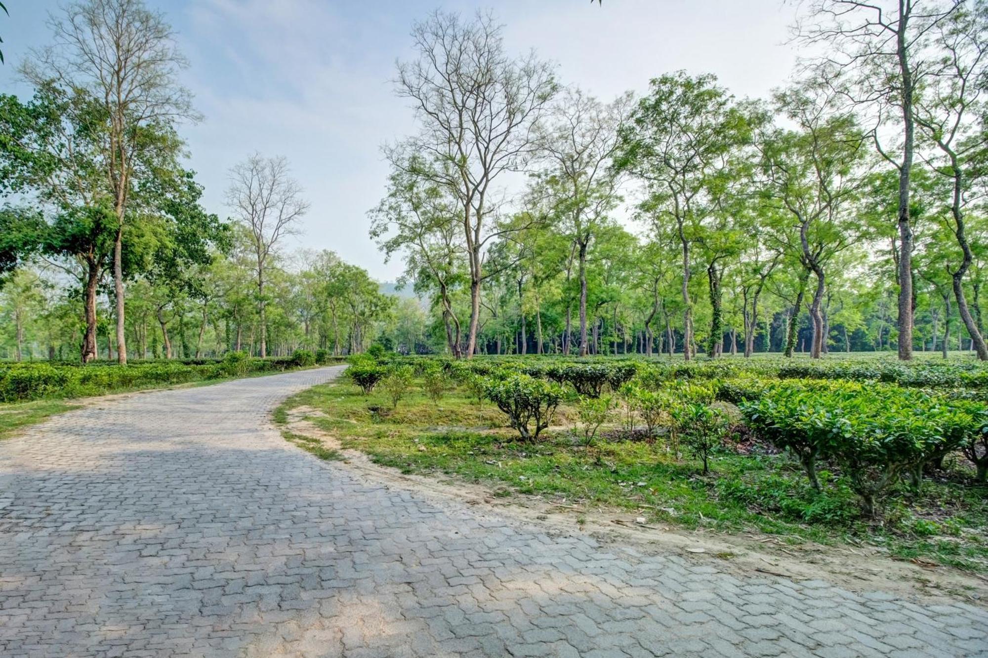 Hotel O Heritage Nest Resort Kazirnga Kaziranga Luaran gambar