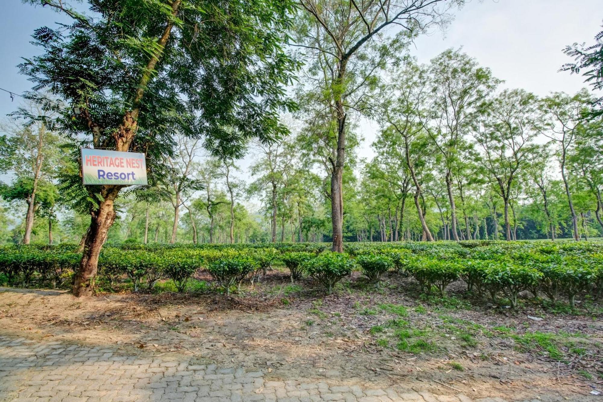 Hotel O Heritage Nest Resort Kazirnga Kaziranga Luaran gambar